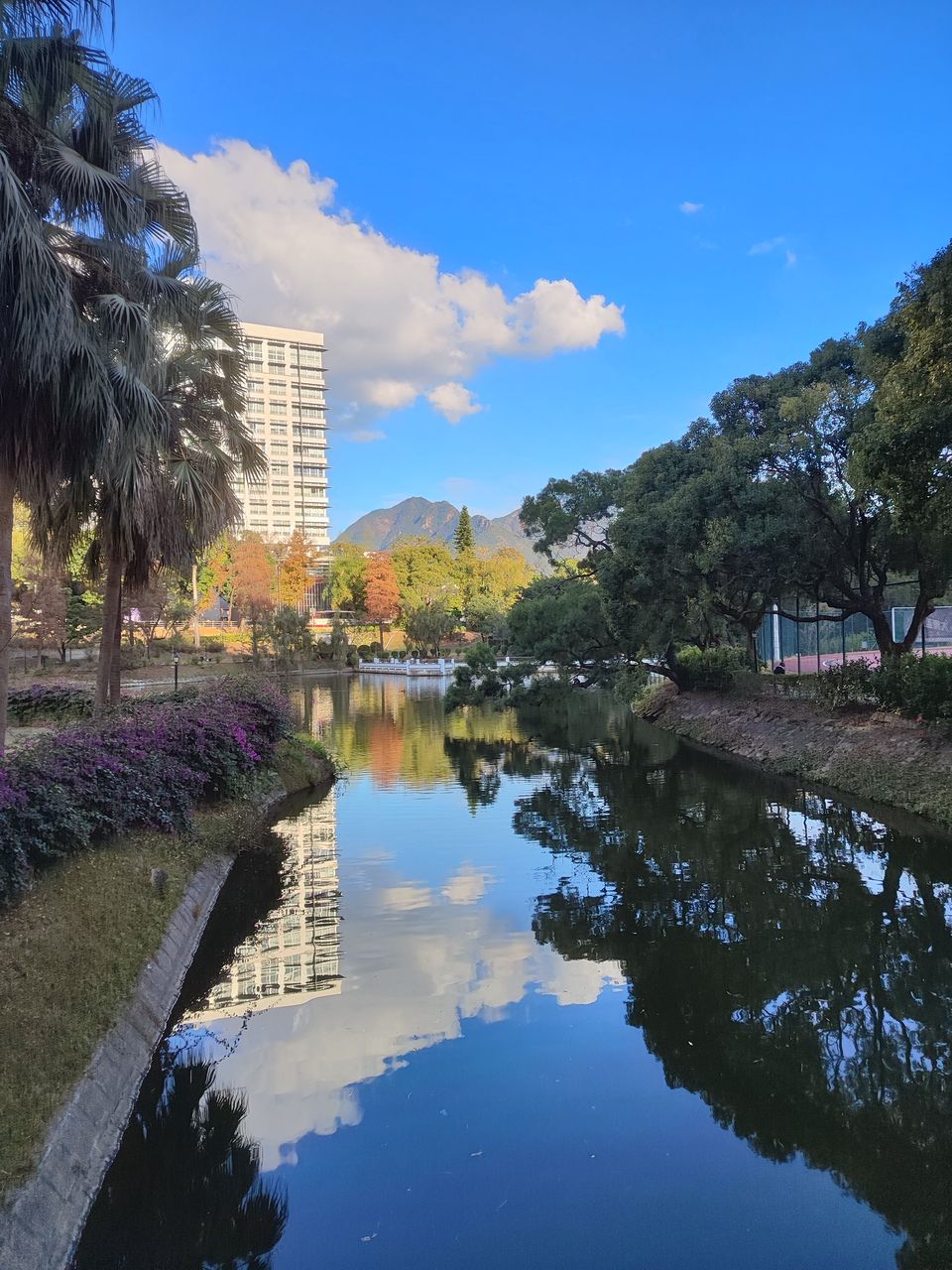 香港中文大学（三）